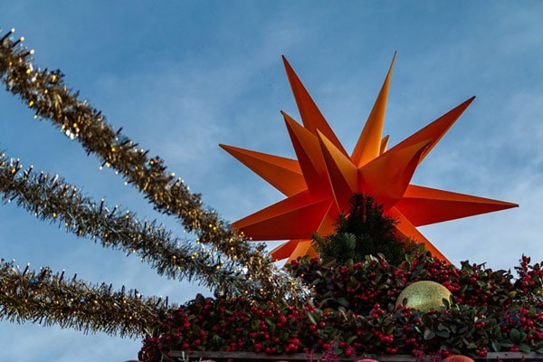Weihnachtsstern Editorial 2019