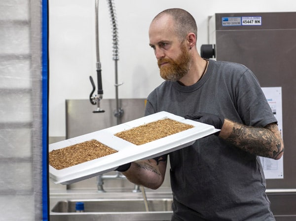 Blick in die Produktion der Grundstoffe zur Mushroom-Verpackung (Quelle: MMC)